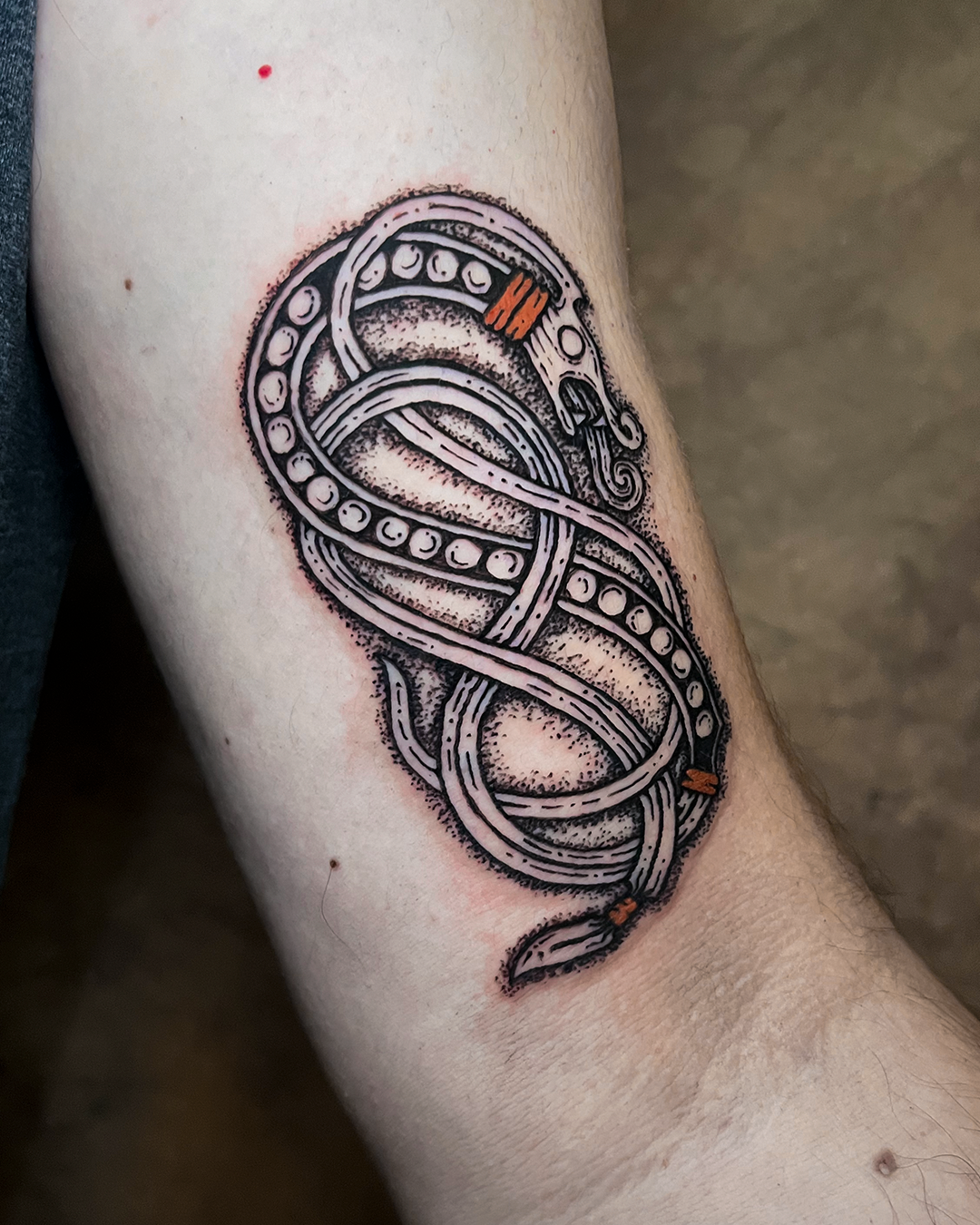Tattoo braço dragão